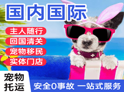 温州航空快运国际宠物托运 【国